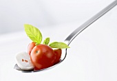 Tomatoes, mozzarella and basil on a spoon