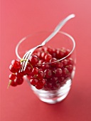 Redcurrants in a glass with fork