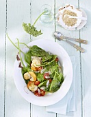 Spinach salad with scallops