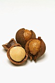 Three macadamia nuts