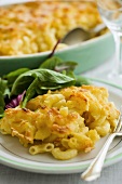 Pasta and cheese gratin with salad leaves
