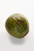 An avocado (Brazil)