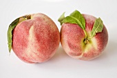 Two peaches with leaves