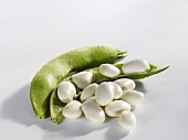 Broad beans with pod
