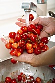 Washing cherries
