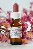 Bach Flowers tincture: Red Chestnut