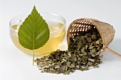 Birch leaf tea