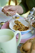 Muesli with dried fruit and nuts