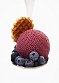 Fruits of the forest sorbet with blueberries on a spoon