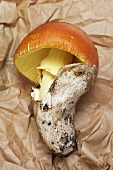 A Caesar's mushroom on a paper bag