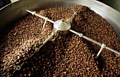 Cocoa beans in roaster