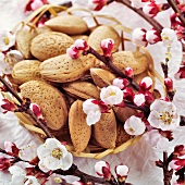 Almonds in small basket with almond blossom