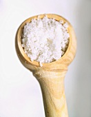 Sea salt in a wooden spoon