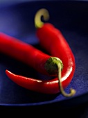 Chillies, variety 'Long red'