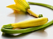 Two yellow courgettes and flower