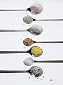 Various types of salt on spoons