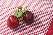 Pair of cherries on a checked cover