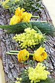 Ranunculus, mimosa and pine on piece of bark