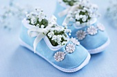 Baby's shoes filled with 'baby's breath' (Gypsophila)