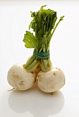 Three turnips