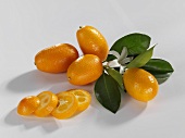 Kumquats mit Blüte und Blättern