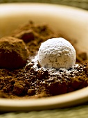 Two chocolate truffles in cocoa powder