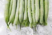 Frozen green beans on ice