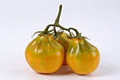 Three tomatoes, variety 'Beuteltomate aus El Salvador'