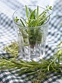 Rosemary and thyme in and around a glass