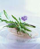 Poached fish fillet with rocket