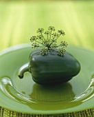 A green pepper with dill