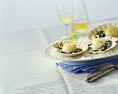 Scallops with spinach and champagne sauce