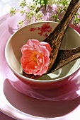 Rose and coconut shell spoons in a bowl