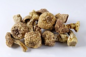 Dried almond mushrooms (Agaricus blazei Murrill)