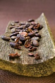 Cocoa beans on a piece of tree bark
