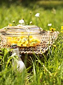 Fruit salad for a picnic