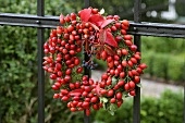 Moss wreath with rose hips hanging on a fence