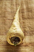 A parsnip