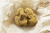 A white Alba truffle on paper