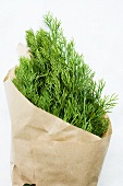 Fresh dill wrapped in paper