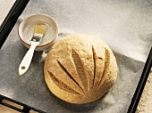 Brushing unbaked Hausbrot (rye bread) with water