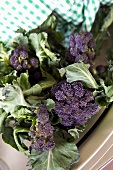 Purple broccoli