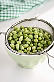 Broad beans in a sieve