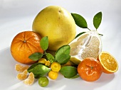 Assorted citrus fruit with leaves