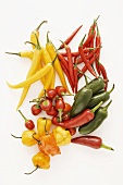 Various types of chillies