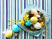 Various types of eggs in Easter nest with narcissi and hay