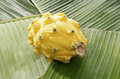 Eine gelbe Pitahaya