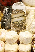 Assorted cheeses on a cheese counter