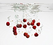 Fresh cherries falling into water