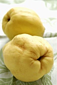 Two quinces